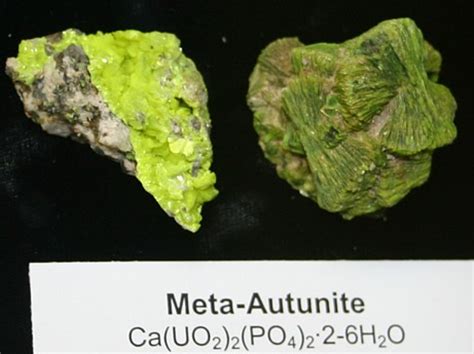 Autunite Mineral Information photos and Facts, uranium minerals