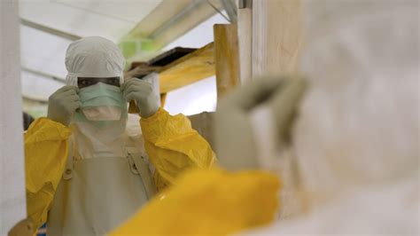 New Ebola species is reported for first time in a decade | STAT