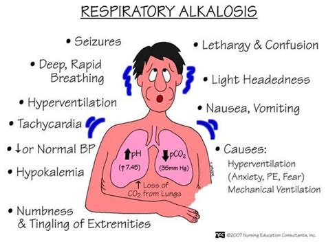 Symptom finder - The causes of respiratory acidosis and ... | Respiratory alkalosis, Nurse ...