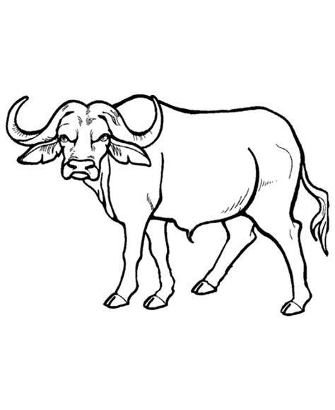 Download High Quality buffalo clipart outline Transparent PNG Images ...