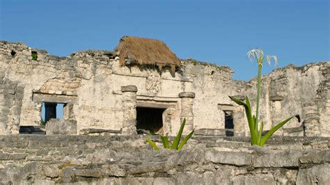 10 Best Beach Hotels in Tulum City Center for 2020 | Expedia