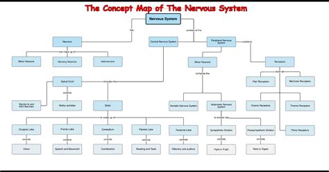 [Solved] Explain the concept map of the nervous system | Course Hero