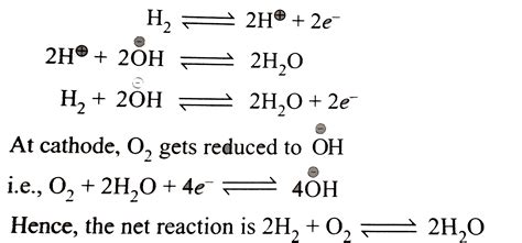 Doubt Solutions - Maths, Science, CBSE, NCERT, IIT JEE, NEET