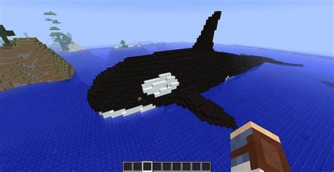 Giant Orca Couple Minecraft Map