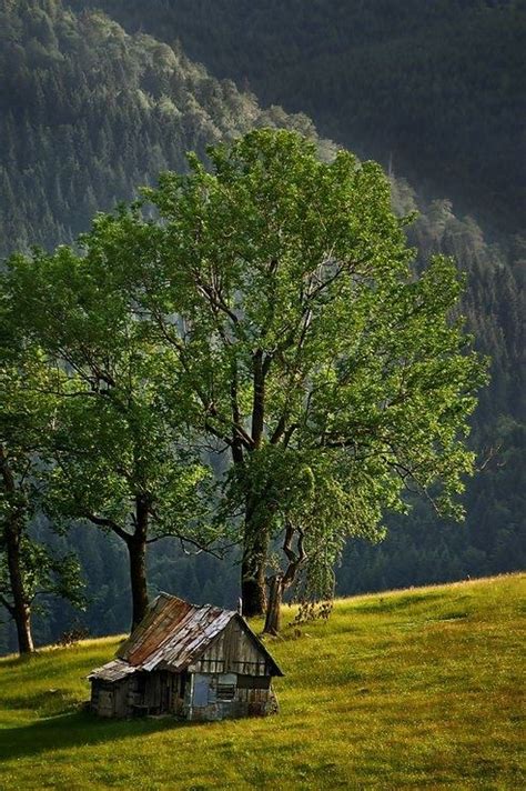 Paltinis, Sibiu, Romania. #Travel #Europe_travel #Tour #Travel_Guide ...