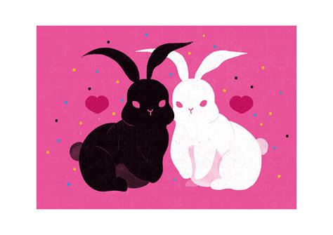Chinese Zodiac Rabbit on Behance