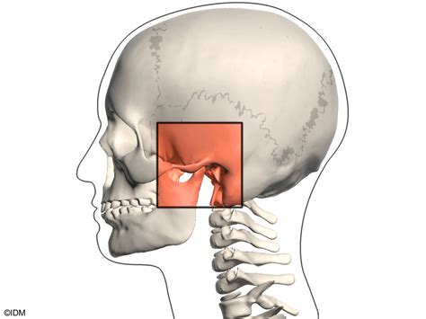 TMJ (Temporomandibular Joint Disorder) Relief Options | Oceanview Dental Care Brooklyn, NY