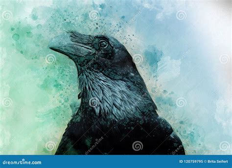 Portrait of a Crow Bird, Watercolor Painting Stock Illustration - Illustration of gothic, horror ...