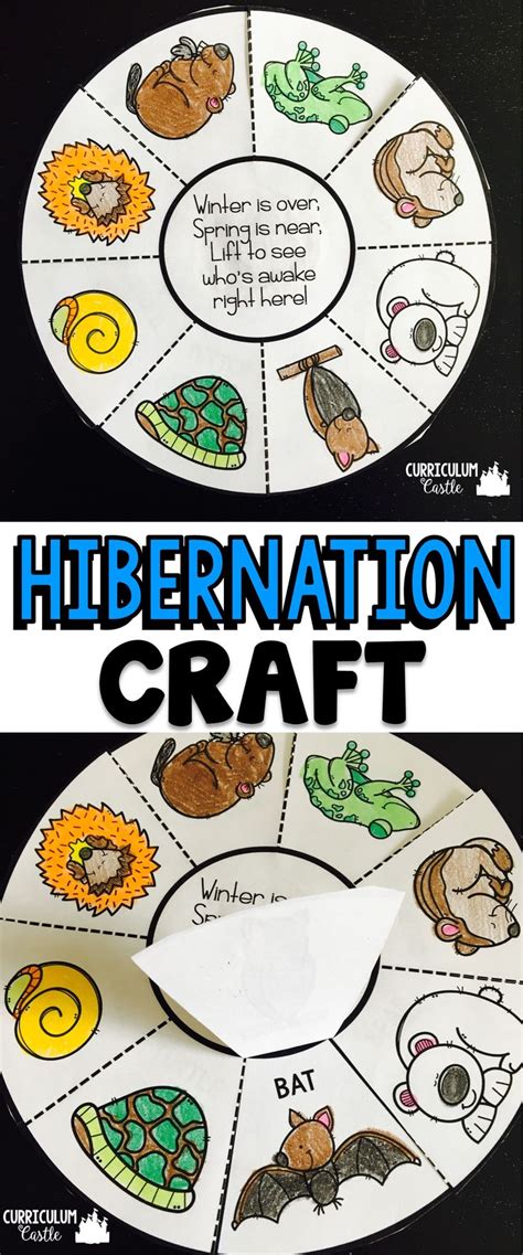 Hibernation: Animals in Winter | Hibernation crafts, Winter animals, Hibernation