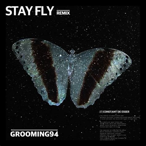 Stream Stay Fly - GROOMING94 Remix by GROOMING94 | Listen online for free on SoundCloud