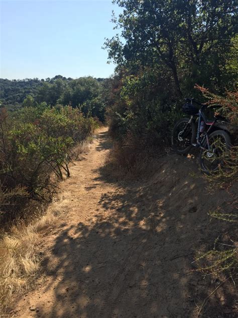 Mendocino Lake Mountain Bike Trail in Ukiah, California || SINGLETRACKS.COM