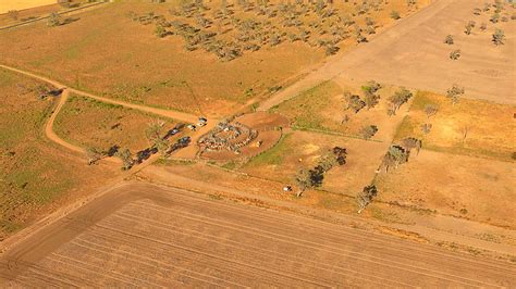 Why Your Farm Should Have a Custom Cattle Yard Design - Steel Supplies