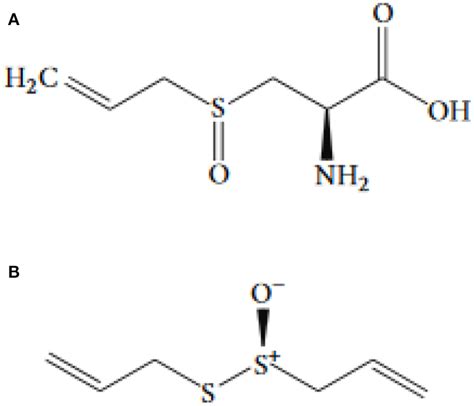 | The chemical structure of (A) allicin and (B) alliin. | Download ...