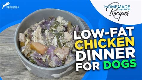 Recipe: Low Fat Food for Dogs with Chicken – Top Dog Tips