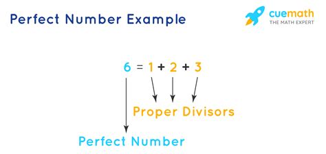 What are Perfect Numbers? Definition, Examples, and Facts