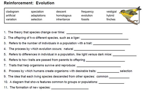 Worksheets On Evolution - Worksheets For Kindergarten