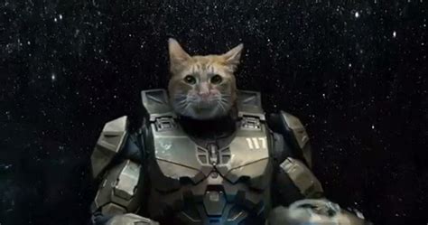 Halo Reveals Master Chief's Face (And He's A Cat)