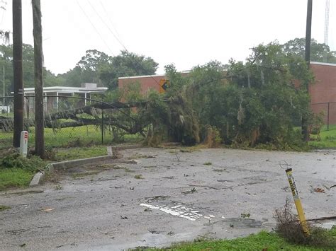 PHOTO GALLERY: Hurricane Hermine damage | Plant City Observer