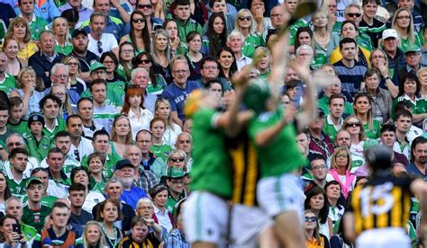 GAA officials confirm what happens if Kilkenny v Limerick hurling final ...