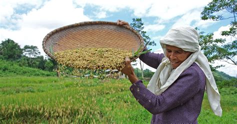 Filipino farmer - Regeneration International