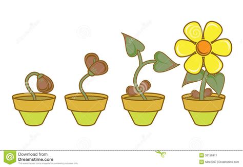 Stages clipart - Clipground