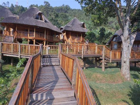 LUXURY IN THE WILD: Uganda’s 25 most luxurious safari lodges you must visit before you die ...