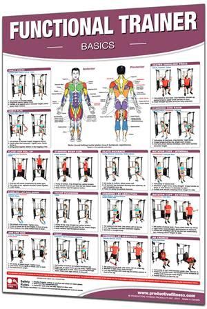 Functional Training Chart (Basics) - $24.95 This poster features 16 basic exercises that can be ...