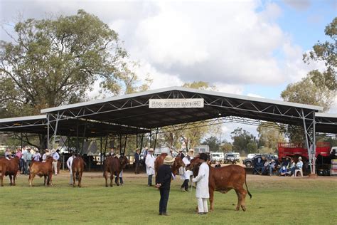 Goondiwindi Show - Goondiwindi Region