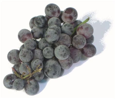 Muscat Grapes - Nature's Produce