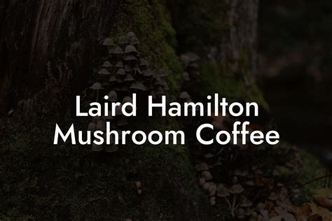 Laird Hamilton Mushroom Coffee - Mr Mushroom