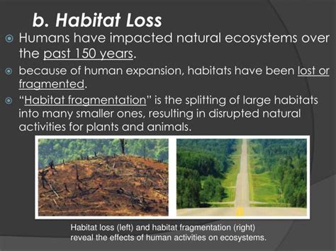 PPT - 3.2 How Humans Influence Ecosystems PowerPoint Presentation - ID:1957879