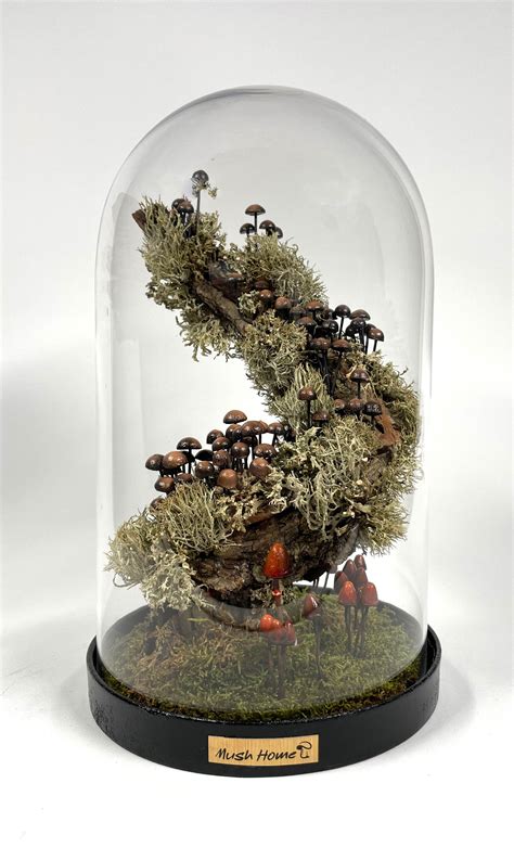 Mushroom Terrarium Decoration Product - Etsy