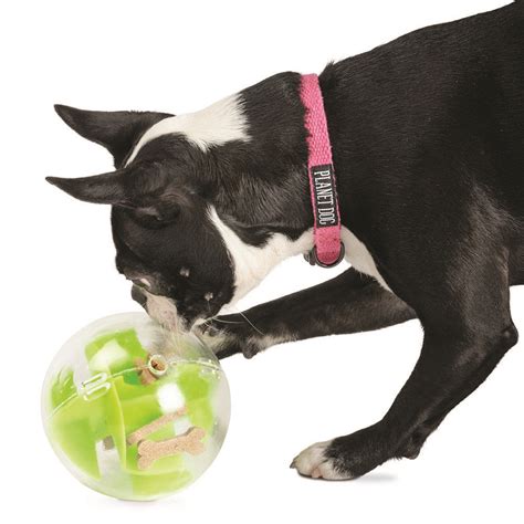 Planet Dog Orbee-Tuff Mazee Interactive Dog Treat Toy