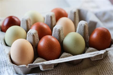 Everything You Need to Know About Egg Yolk Color