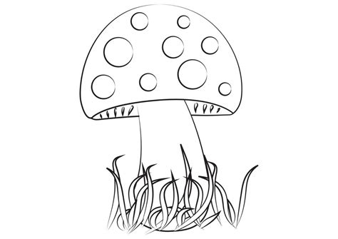 Sketch of Mushroom. Black and White. Clipart. Black and White Vector ...