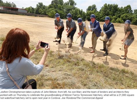 Millions of ducklings in Cordova? Here's a look at what Metzer Farms hatchery has planned ...