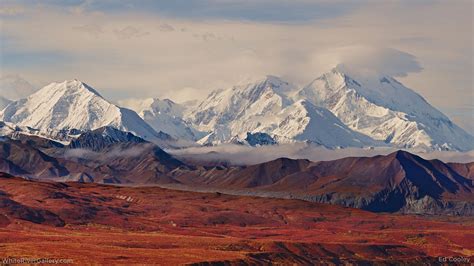 Denali Desktop Wallpapers - Top Free Denali Desktop Backgrounds - WallpaperAccess