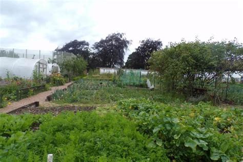 HMP Foston Hall is transforming prison grounds and lives with blooming walled gardens