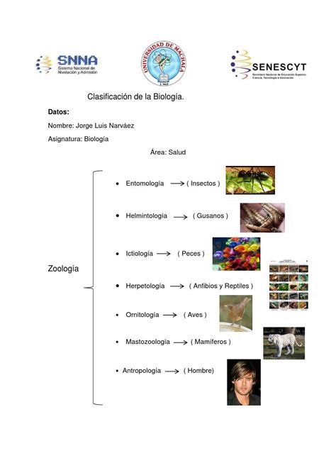 Clasificación de la biologia by Luis Narvaez - Issuu