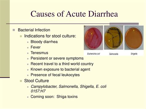 Cause of Diarrhea for 3 Days: 15 Common Causes and How To Treat It