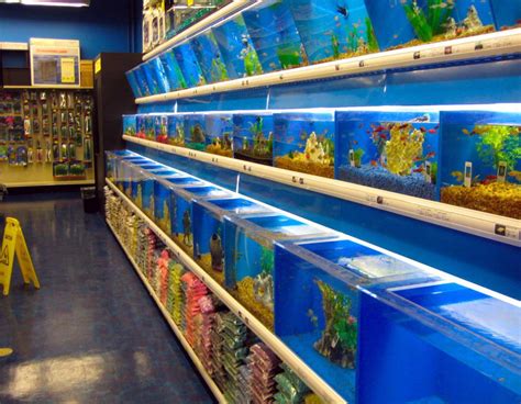 Are there any aquarium, supplies, and live fish care stores within ...