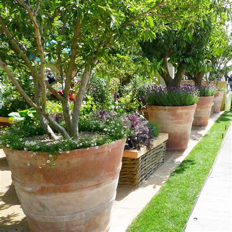 Italian Terrace | How to pot up exceptionally large terracotta pots ...