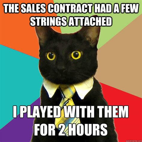 Business Cat memes | quickmeme