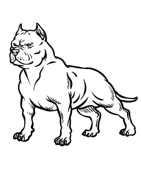Free Printable Pitbull Dog coloring page - Download, Print or Color Online for Free