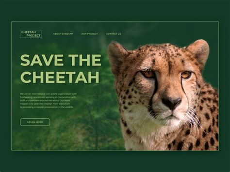 Cheetah Design Concept by Elizabeth Nova on Dribbble