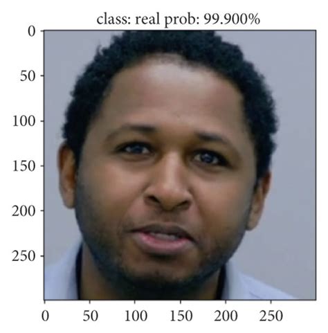 The real and fake pictures detection renderings. | Download Scientific ...