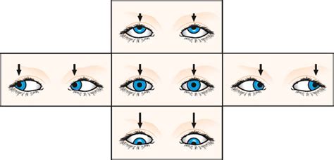 Ocular motility | Ento Key