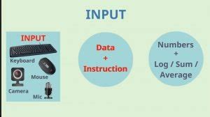 IPO Cycle - Simply Coding