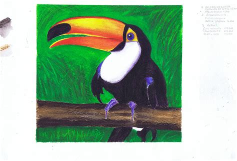 Toucan | Learn Art with David