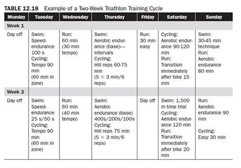 Top Notch Tips About How To Improve Anaerobic Endurance - Mountainpackage